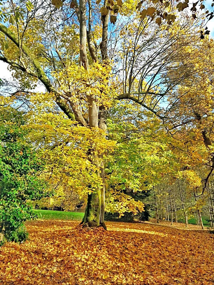 Château de Chantore