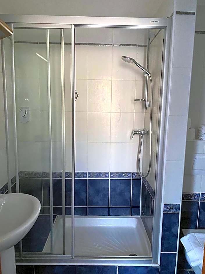 Logis Hôtel Restaurant Au Cerf d'Or