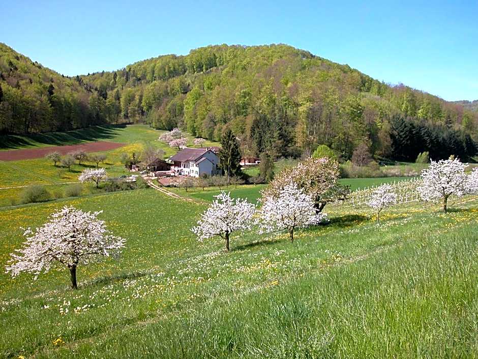 Bienenberg - Das Genusshotel im Grünen - Liestal
