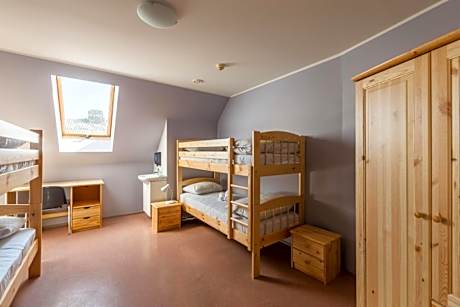 Bunk Bed in Mixed Dormitory Room
