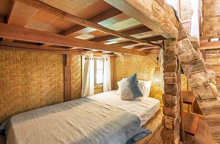 Roots Tree House