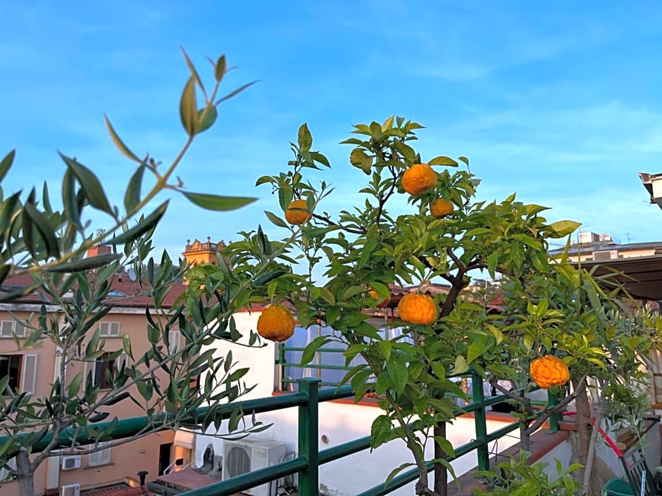 HOTEL ZUCCONI