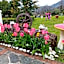 B&B Vignola