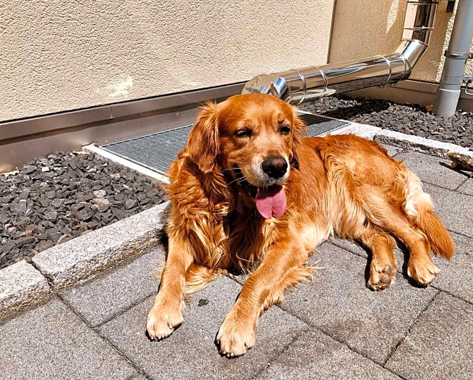 Hotel & Gasthof Löwen