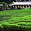 Tsutaya Tokinoyado Kazari