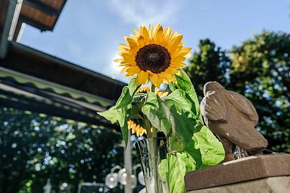 Landgasthof Adler