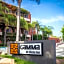 Gamma Tijuana