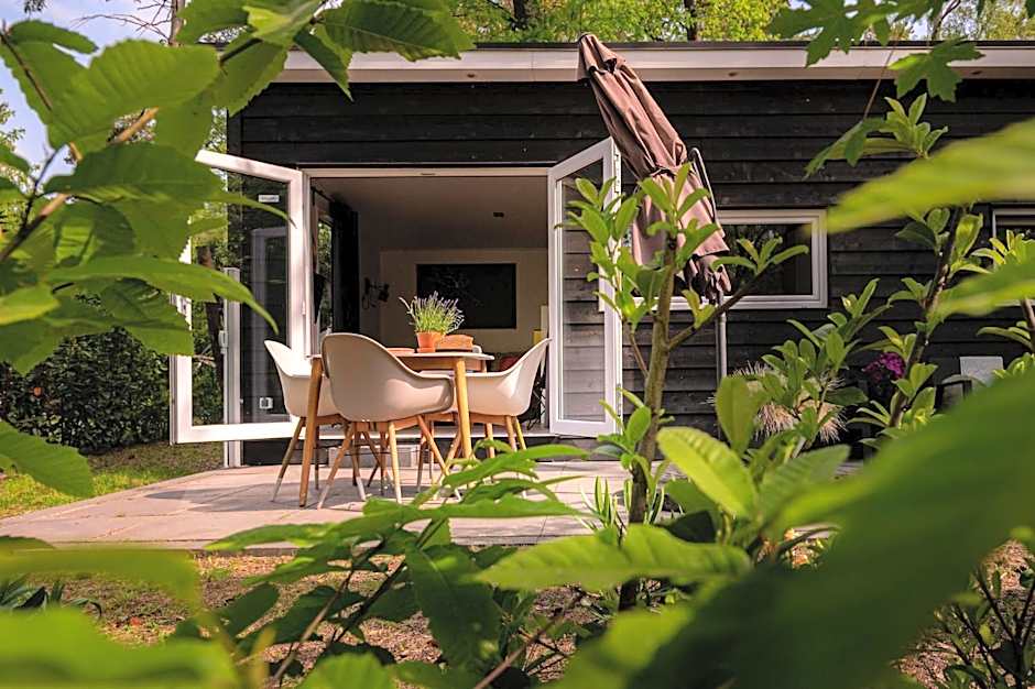 Tiny Damhert Veluwe Nature Escape