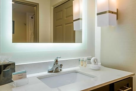 1 King Accessible Roll In Shower Suite Nonsmok