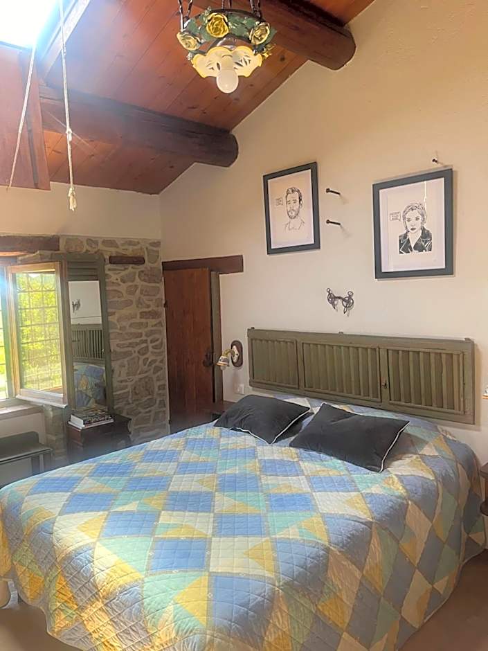 Photo 1 of 16 of Deluxe 1 King Bed