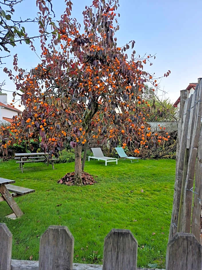 Gîte "Au Gré de l'Adour"