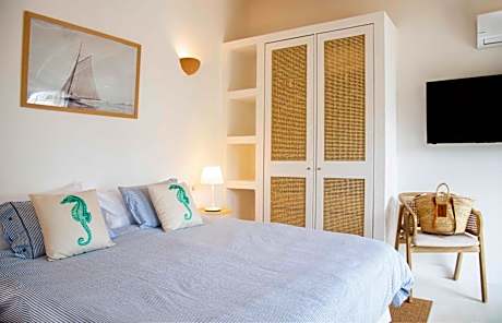 Deluxe Double or Twin Room with Garden View