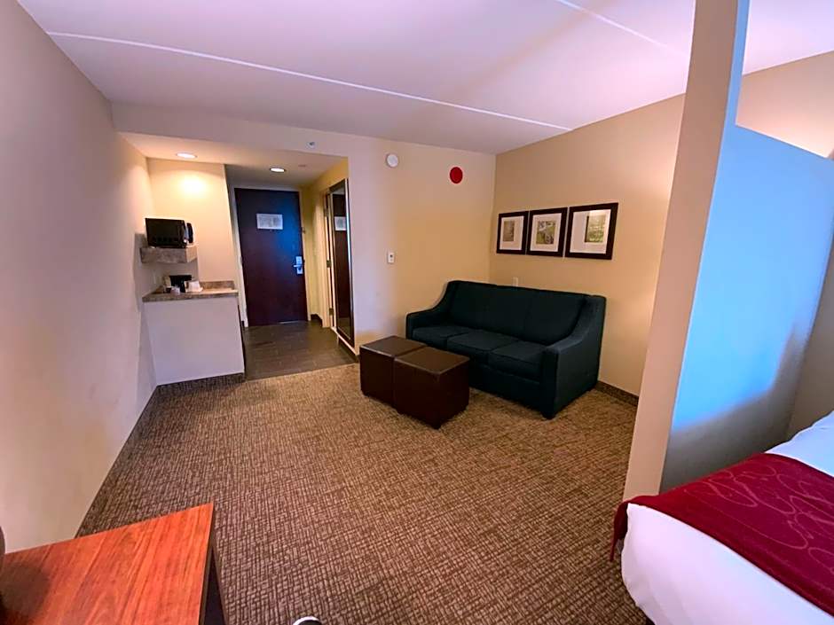 Comfort Suites Fredericksburg North