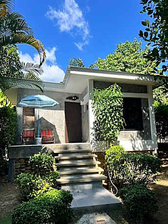 Sunshine on the rock