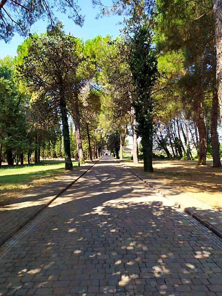 Torrenova di Assisi Country House