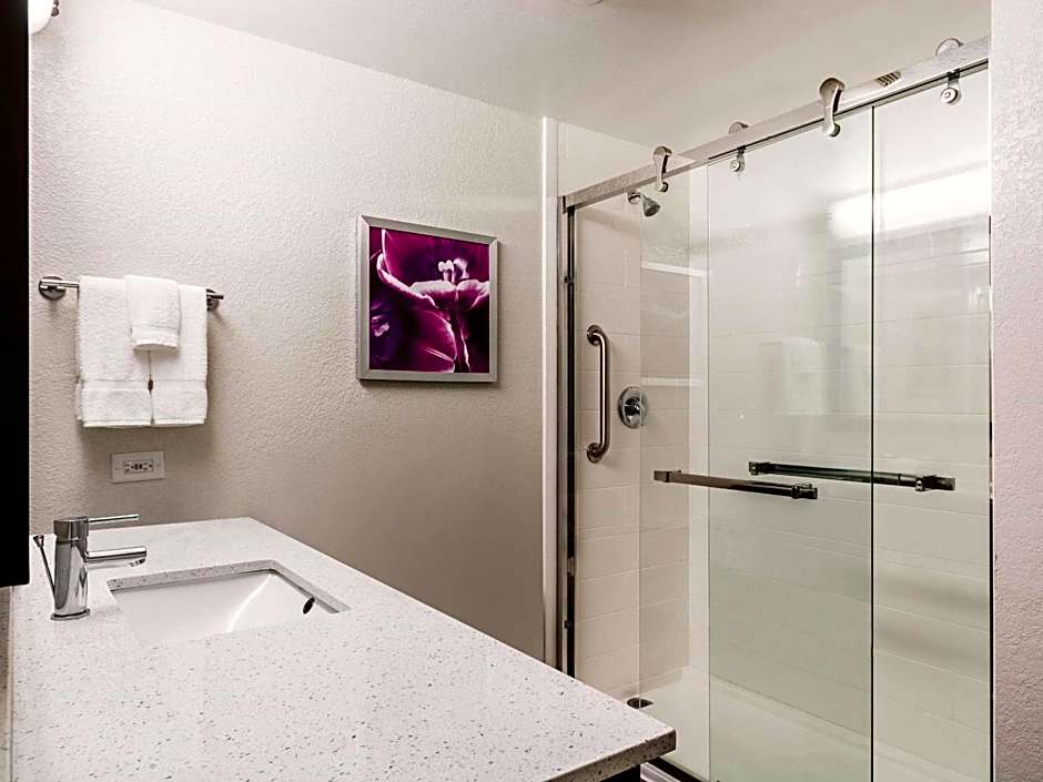 La Quinta Inn & Suites by Wyndham San Antonio Downtown