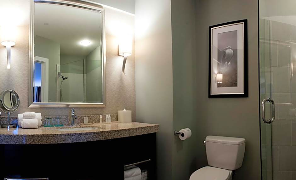 Hotel Indigo Waco-Baylor By IHG