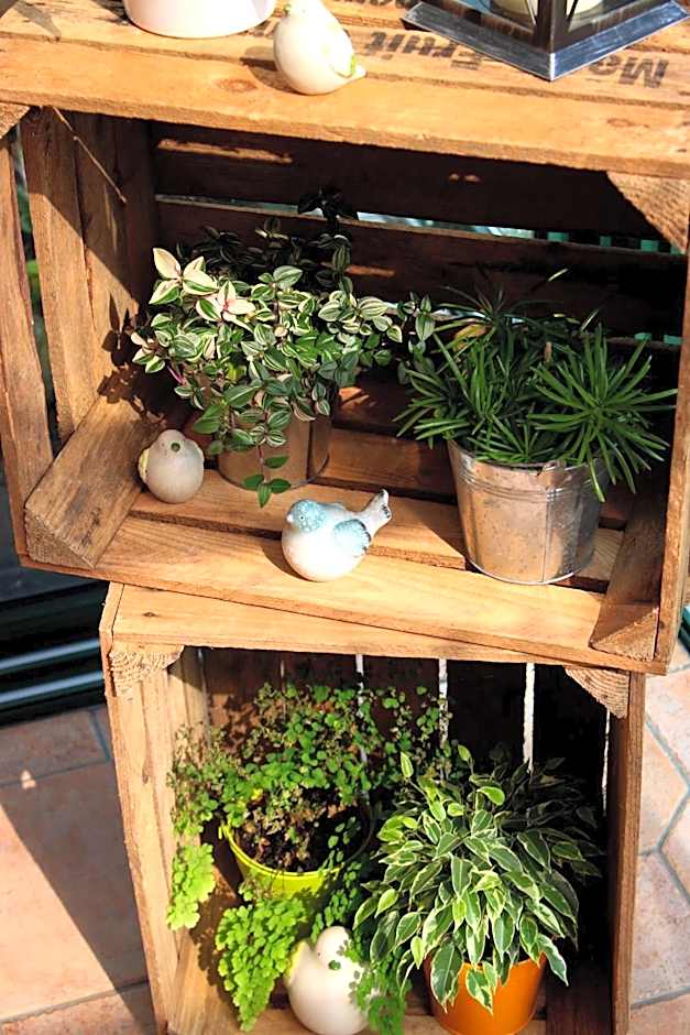 Safranière de la Venelle du Moulin