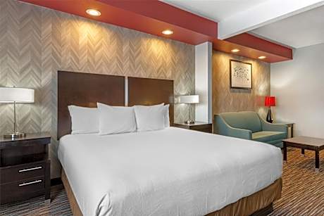 Suite-1 King Bed Non-Smoking Sofabed Microwave And Refrigerator Wi-Fi Full Breakfast