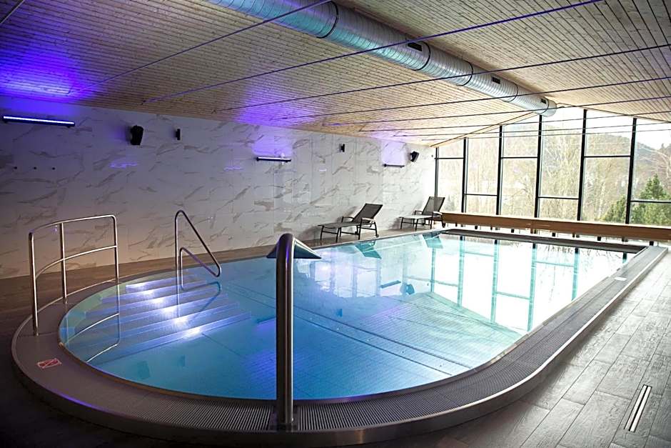 Wellness Hotel Astra