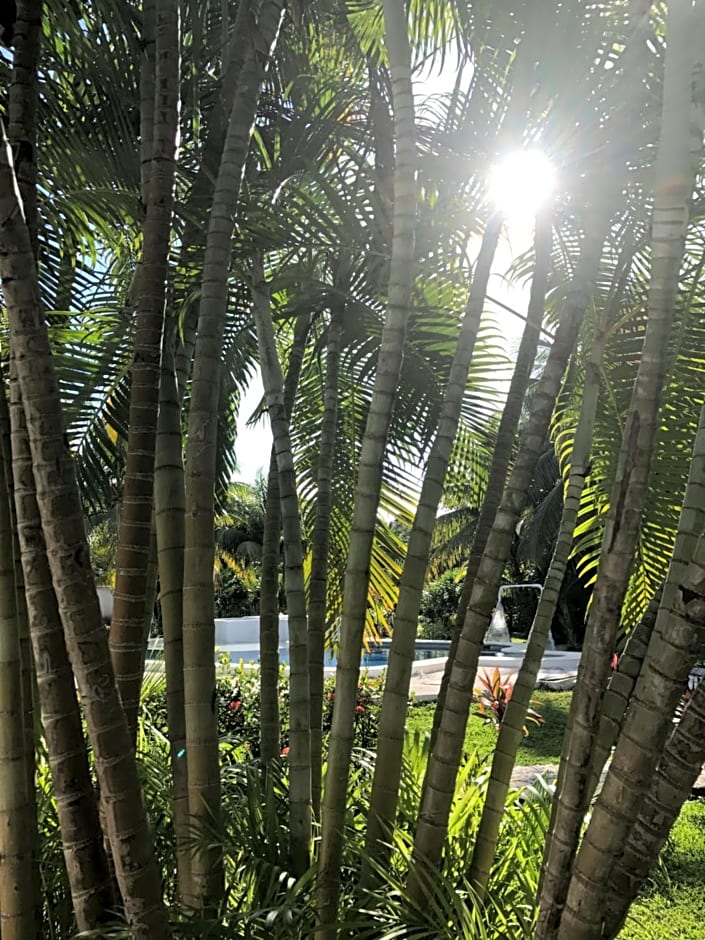 WishTulum