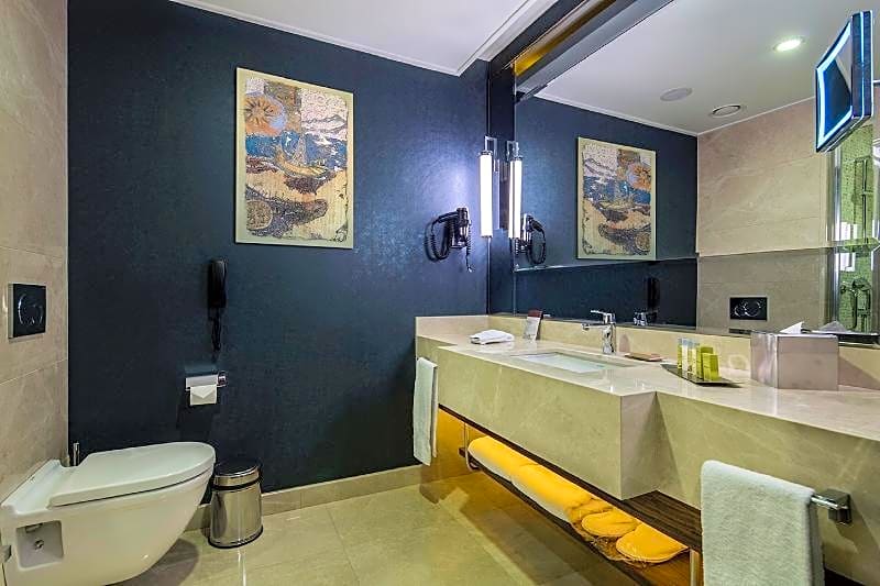 DoubleTree by Hilton Istanbul Topkapi