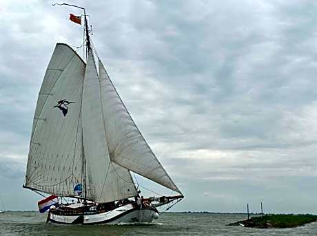 tjalkjacht pelikaan enkhuizen