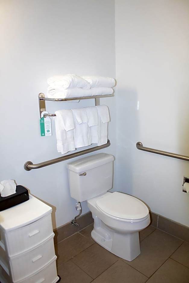 Country Inn & Suites by Radisson, Big Rapids, MI