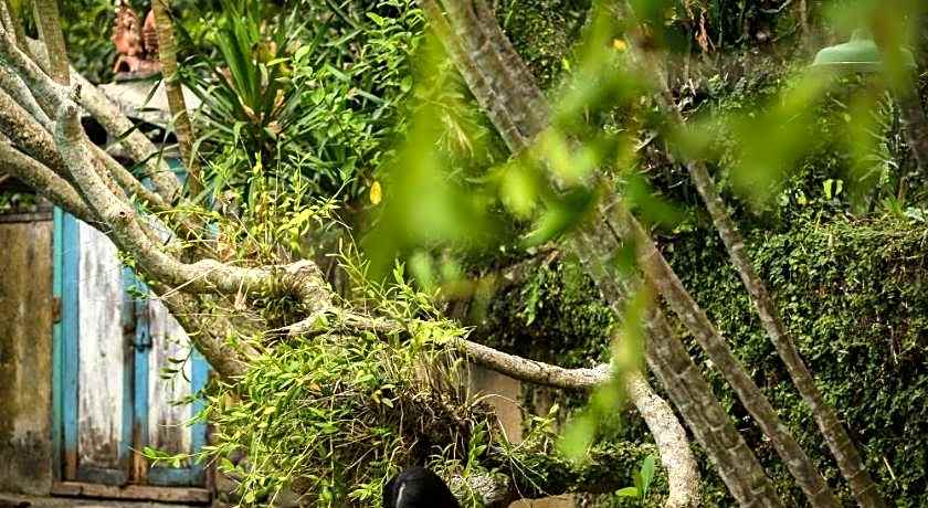 Taman Nauli Boutique Rooms