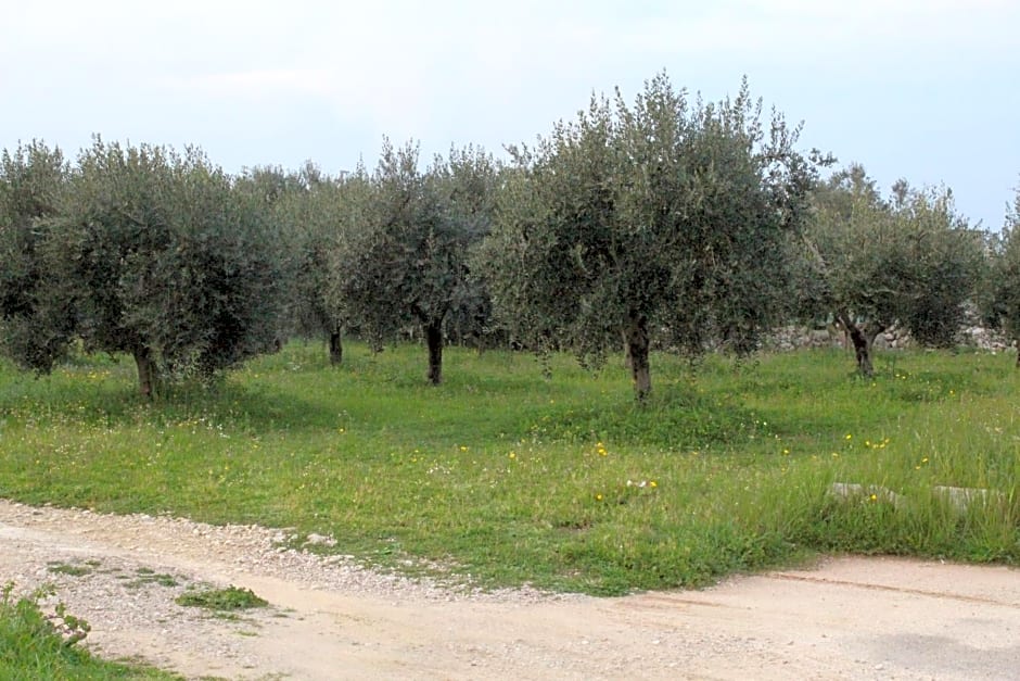 Piccolo Ulivo B&B Salento