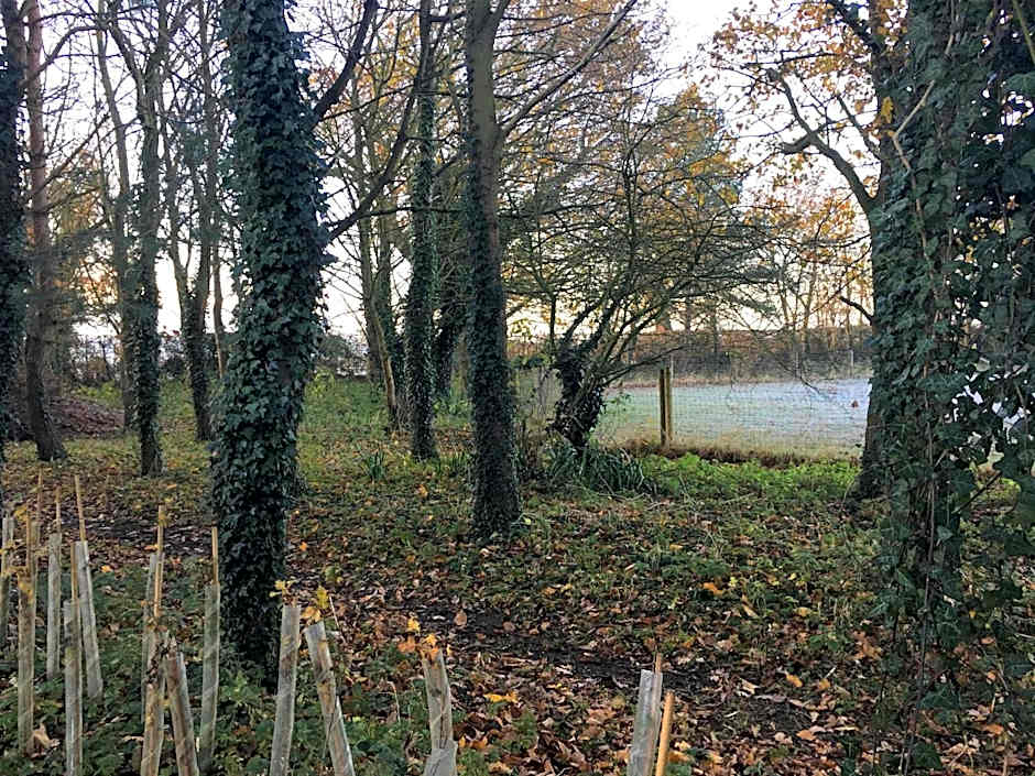 the Orangery - BnB Suites