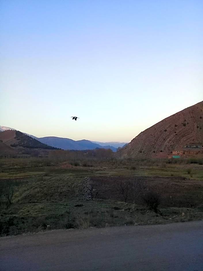 Auberge Restaurant Les Coquelicots