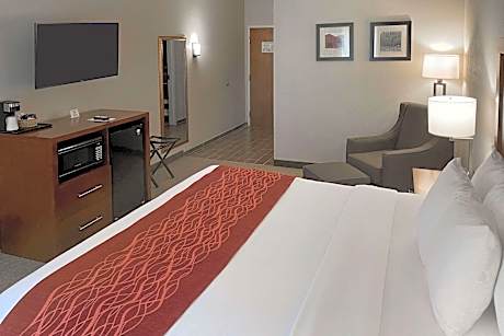 1 King Bed, Nonsmoking, Accessible