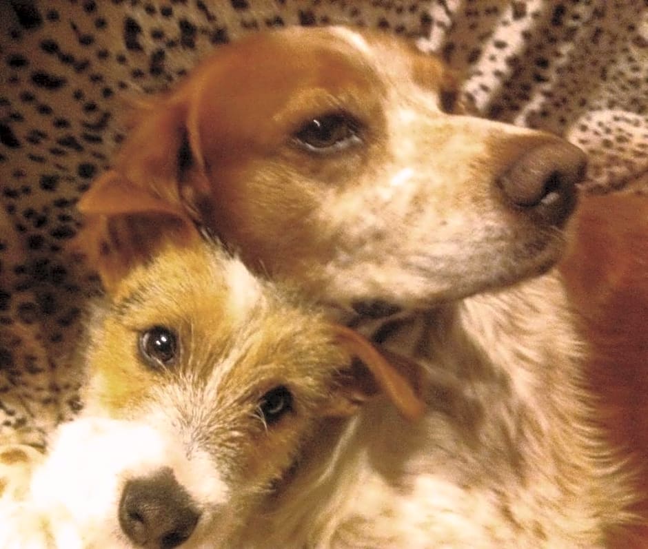 Chambre d'Hôte "Chez Antoinette et Charles"