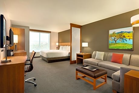 King Room with Sofa Bed