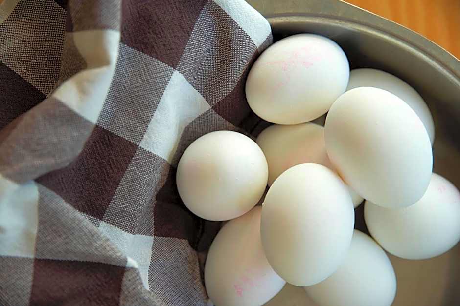 Kongsberg Hostel-Vandrerhjem