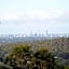 Gold Coast Tree Houses