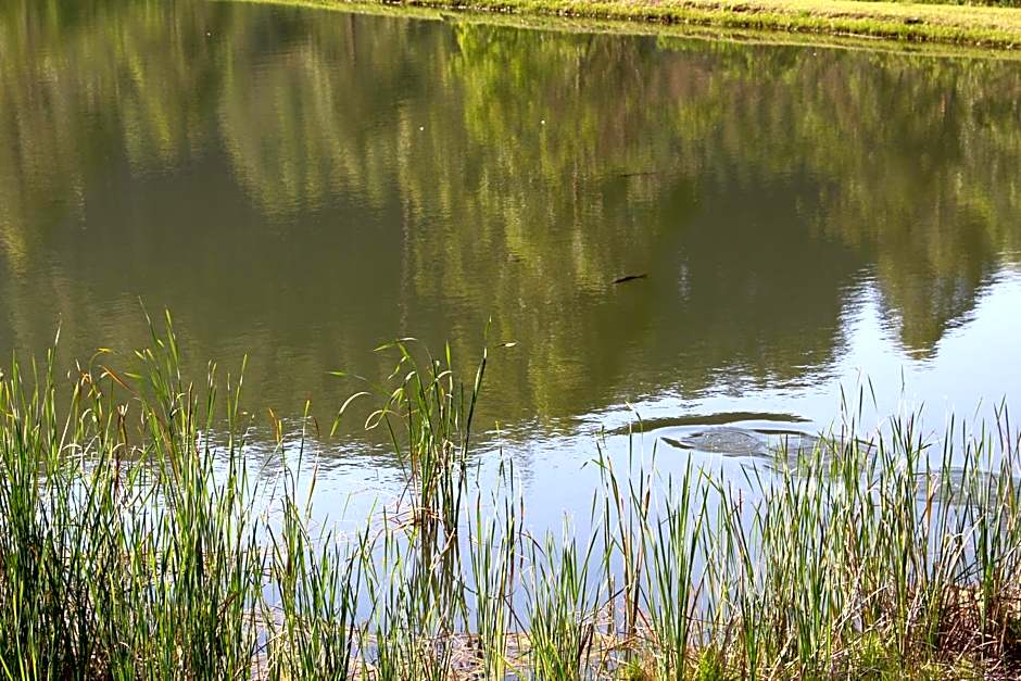 Magoebaskloof Getaway