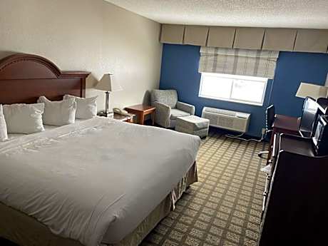 1 King Bed Non-Smoking