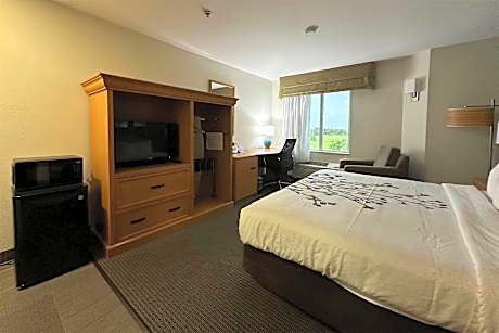 1 King Bed Non-Smoking