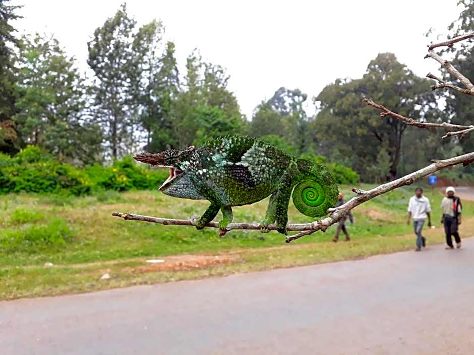 LUSHOTO EXECUTIVE LODGE