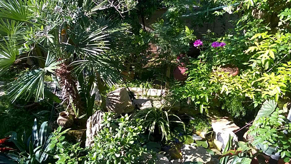 B&B Mare E Sole