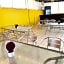 Hotel Amigo Suites