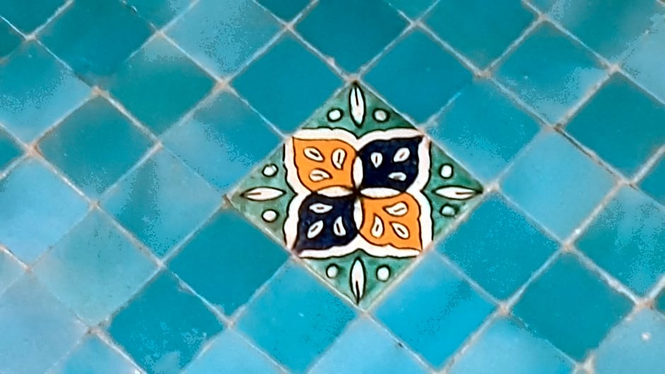 Riad Les Lauriers Blancs