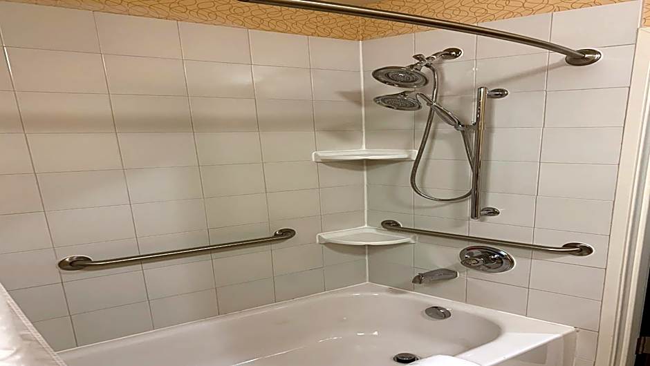 Holiday Inn Express Hotel & Suites Lansing-Dimondale By IHG
