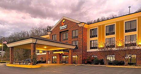 Comfort Inn & Suites Rogersville