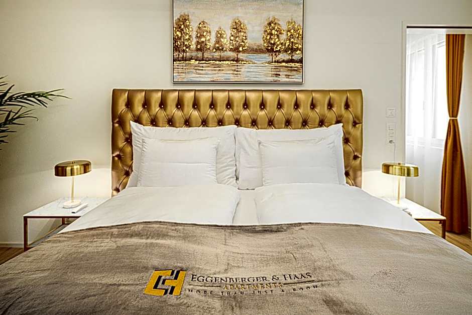 VISIMO Apartments Mühlensteg St Gallen - Elegant Quiet Central