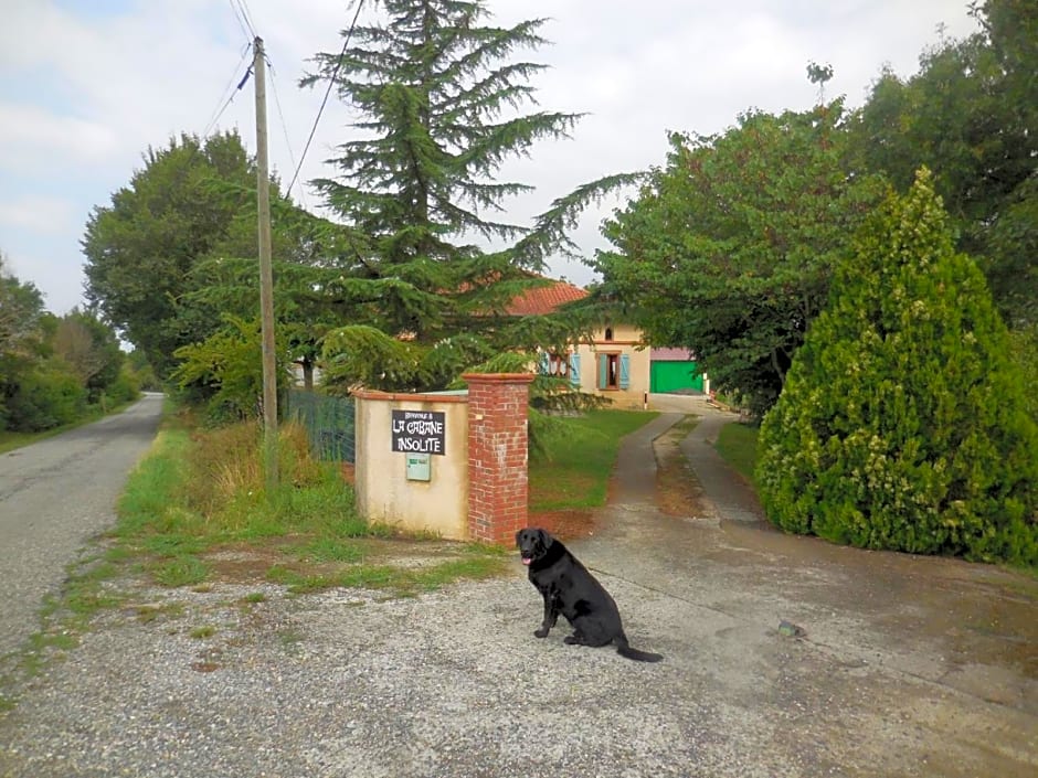 B&B La Cabane Insolite