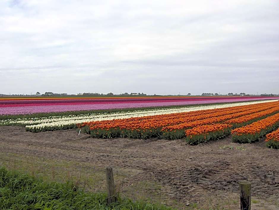 Het Burgemeestershuis
