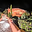 Hotel Barrancas del Cobre a Balderrama Hotel Collection